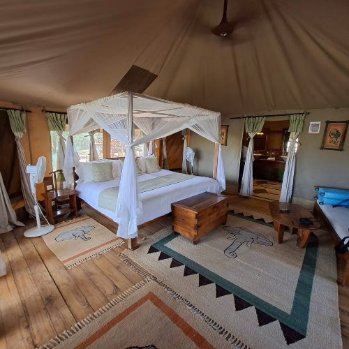 bed at the elephant bedroom camp