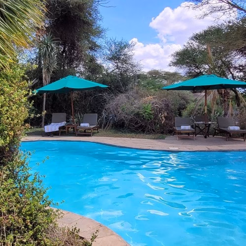 swimming pool at Tortillis by Elewana in Amboseli