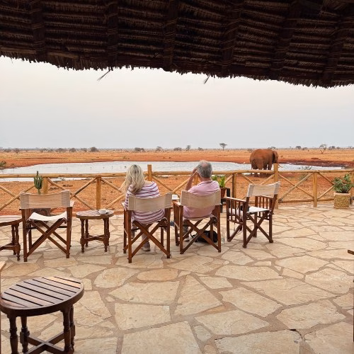 Watering hole with an elephant at Ngutuni safari lodge